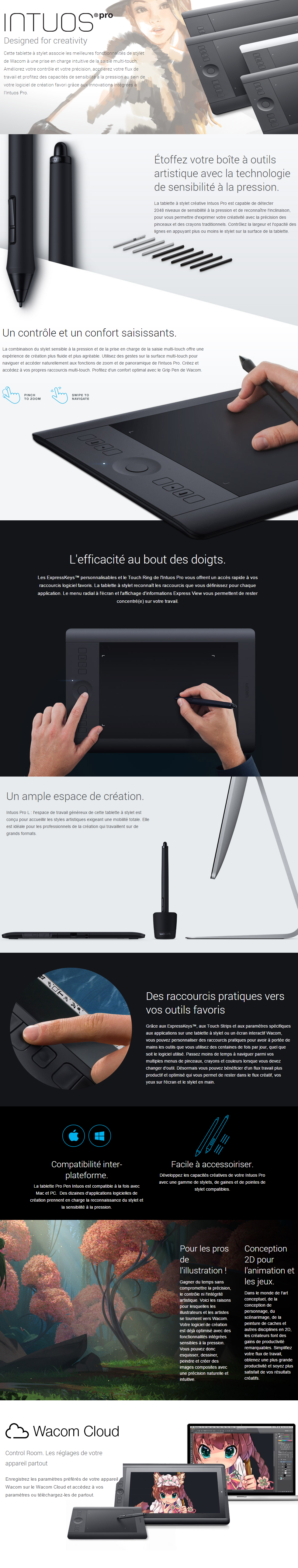 Acheter Tablette graphique professionnelle multi-touch Wacom Intuos Pro Large (PTH-851-FRNL) Maroc