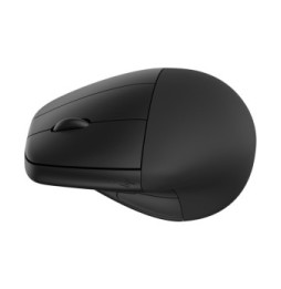 HP Souris sans fil ergonomique 920 Souris sans fil ergonomique HP 920  (6H1A4AA)