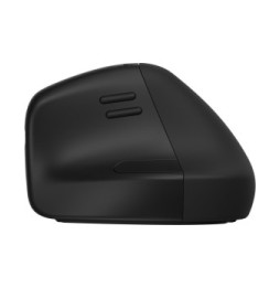 HP Souris sans fil ergonomique 920 Souris sans fil ergonomique HP 920  (6H1A4AA)