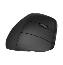 HP Souris sans fil ergonomique 920 Souris sans fil ergonomique HP 920  (6H1A4AA)