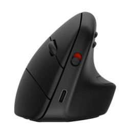 HP Souris sans fil ergonomique 920 Souris sans fil ergonomique HP 920  (6H1A4AA)