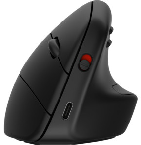 HP Souris sans fil ergonomique 920 Souris sans fil ergonomique HP 920  (6H1A4AA)