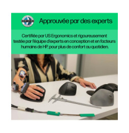HP Souris sans fil ergonomique 920 Souris sans fil ergonomique HP 920  (6H1A4AA)