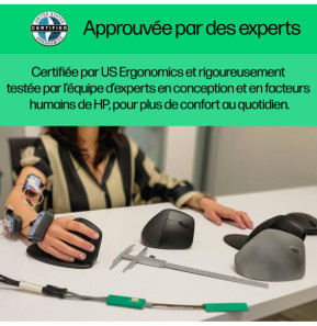 HP Souris sans fil ergonomique 920 Souris sans fil ergonomique HP 920  (6H1A4AA)