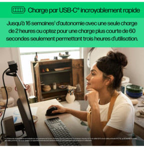 HP Souris sans fil ergonomique 920 Souris sans fil ergonomique HP 920  (6H1A4AA)
