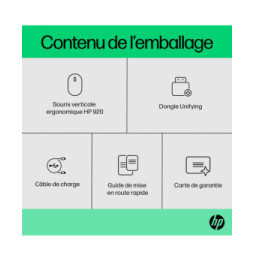 HP Souris sans fil ergonomique 920 Souris sans fil ergonomique HP 920  (6H1A4AA)