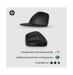 HP Souris sans fil ergonomique 920 Souris sans fil ergonomique HP 920  (6H1A4AA)