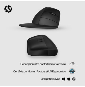 HP Souris sans fil ergonomique 920 Souris sans fil ergonomique HP 920  (6H1A4AA)