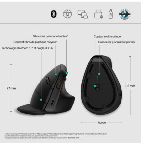 HP Souris sans fil ergonomique 920 Souris sans fil ergonomique HP 920  (6H1A4AA)