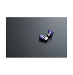 Kingston Technology DataTraveler 256 Go microDuo 3C 200 Mo/s dual USB-A + USB-C (DTDUO3CG3/256GB)