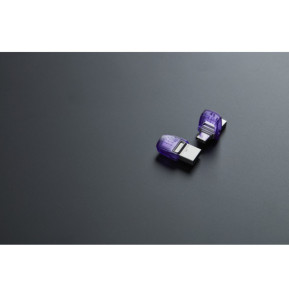 Kingston Technology DataTraveler 256 Go microDuo 3C 200 Mo/s dual USB-A + USB-C (DTDUO3CG3/256GB)