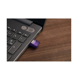 Kingston Technology DataTraveler 256 Go microDuo 3C 200 Mo/s dual USB-A + USB-C (DTDUO3CG3/256GB)