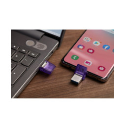 Kingston Technology DataTraveler 256 Go microDuo 3C 200 Mo/s dual USB-A + USB-C (DTDUO3CG3/256GB)