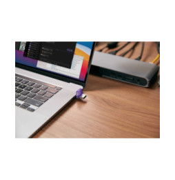 Kingston Technology DataTraveler 256 Go microDuo 3C 200 Mo/s dual USB-A + USB-C (DTDUO3CG3/256GB)