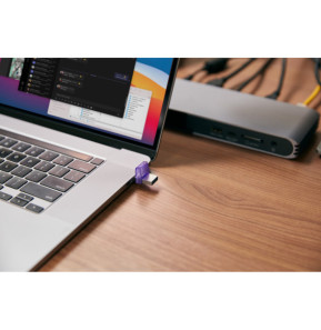 Kingston Technology DataTraveler 256 Go microDuo 3C 200 Mo/s dual USB-A + USB-C (DTDUO3CG3/256GB)