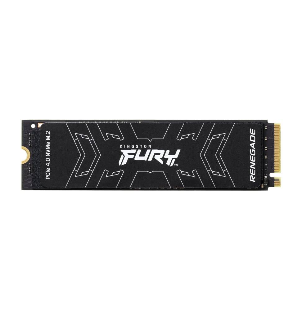 Kingston Technology 2000G FURY RENEGADE M.2 2280 NVMe SSD  (SFYRD/2000G)
