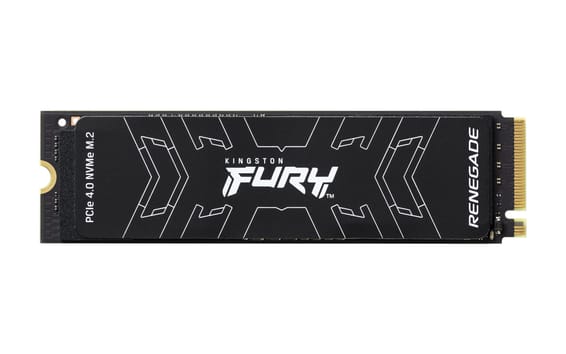 Kingston Technology 2000G FURY RENEGADE M.2 2280 NVMe SSD (SFYRD/2000G)