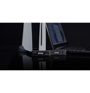 Kingston Technology 2000G FURY RENEGADE M.2 2280 NVMe SSD  (SFYRD/2000G)