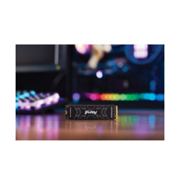 Kingston Technology 2000G FURY RENEGADE M.2 2280 NVMe SSD  (SFYRD/2000G)