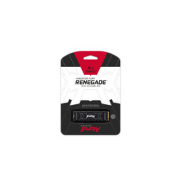Kingston Technology 4000G FURY RENEGADE M.2 2280 NVMe SSD 4000G FURY RENEGADE M.2 2280 NVMe SSD  (SFYRD/4000G)