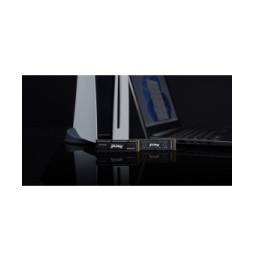 Kingston Technology 4000G FURY RENEGADE M.2 2280 NVMe SSD 4000G FURY RENEGADE M.2 2280 NVMe SSD  (SFYRD/4000G)