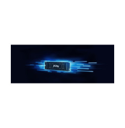 Kingston Technology 4000G FURY RENEGADE M.2 2280 NVMe SSD 4000G FURY RENEGADE M.2 2280 NVMe SSD  (SFYRD/4000G)