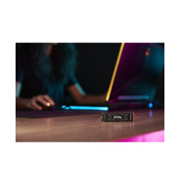 Kingston Technology 4000G FURY RENEGADE M.2 2280 NVMe SSD 4000G FURY RENEGADE M.2 2280 NVMe SSD  (SFYRD/4000G)