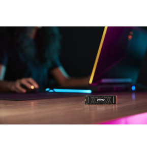 Kingston Technology 4000G FURY RENEGADE M.2 2280 NVMe SSD 4000G FURY RENEGADE M.2 2280 NVMe SSD  (SFYRD/4000G)