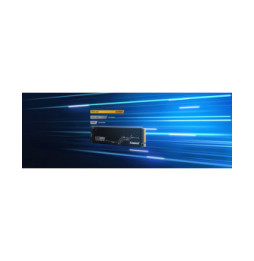 Kingston Technology 4096G KC3000 M.2 2280 NVMe SSD (SKC3000D/4096G)