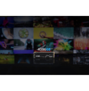 Kingston Technology 4096G KC3000 M.2 2280 NVMe SSD (SKC3000D/4096G)