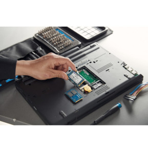 Kingston Technology SSD KC600 SATA3 mSATA de 256 Go (SKC600MS/256G)