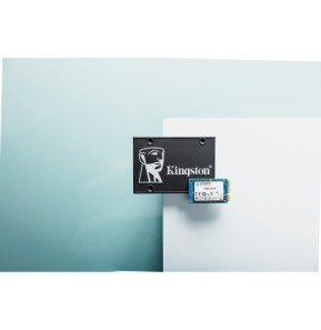 Kingston Technology SSD KC600 SATA3 mSATA de 256 Go (SKC600MS/256G)