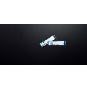 Kingston Technology 2000G NV2 M.2 2280 PCIe 4.0 NVMe SSD (SNV2S/2000G)