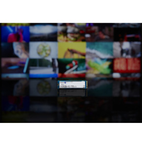 Kingston Technology 2000G NV2 M.2 2280 PCIe 4.0 NVMe SSD (SNV2S/2000G)