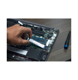 Kingston Technology 4000G NV2 M.2 2280 PCIe 4.0 NVMe SSD (SNV2S/4000G)