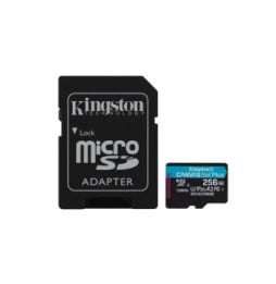 Kingston Technology Carte microSDXC Canvas Go Plus 170R A2 U3 V30 de 256 Go + ADP (SDCG3/256GB)