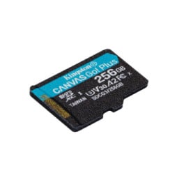 Kingston Technology Carte microSDXC Canvas Go Plus 170R A2 U3 V30 de 256 Go + ADP (SDCG3/256GB)