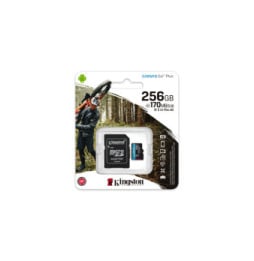 Kingston Technology Carte microSDXC Canvas Go Plus 170R A2 U3 V30 de 256 Go + ADP (SDCG3/256GB)