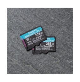 Kingston Technology Carte microSDXC Canvas Go Plus 170R A2 U3 V30 de 256 Go + ADP (SDCG3/256GB)