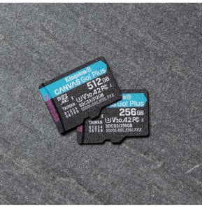 Kingston Technology Carte microSDXC Canvas Go Plus 170R A2 U3 V30 de 256 Go + ADP (SDCG3/256GB)