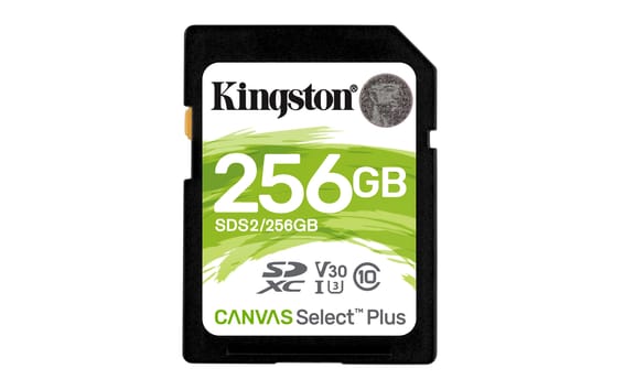Kingston Technology Carte SDXC Canvas Select Plus 100R C10 UHS-I U3 V30 de 256 Go (SDS2/256GB)