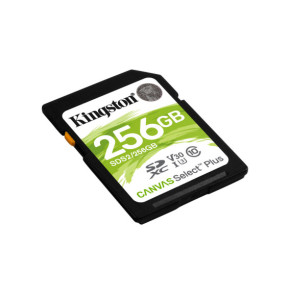 Kingston Technology Carte SDXC Canvas Select Plus 100R C10 UHS-I U3 V30 de 256 Go (SDS2/256GB)