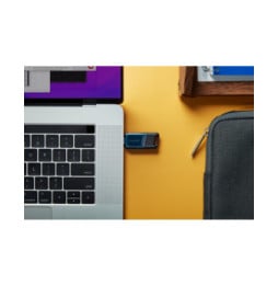Kingston Technology DataTraveler 256GB 80 M 200 Mo/s USB-C 3.2 Gen 1 (DT80M/256GB)