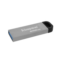 Kingston Technology DataTraveler Clé USB Kyson 256 Go Clé USB DataTraveler Kyson 256 Go  (DTKN/256GB)