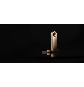 Kingston Technology DataTraveler 64Go 220Mo/s Clé USB 3.2 Gen 1 Métal SE9 G3 (DTSE9G3/64GB)