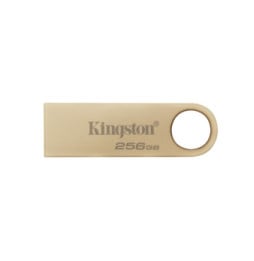 Kingston Technology DataTraveler 256Go 220Mo/s Clé USB 3.2 Gen 1 Métal SE9 G3 (DTSE9G3/256GB)