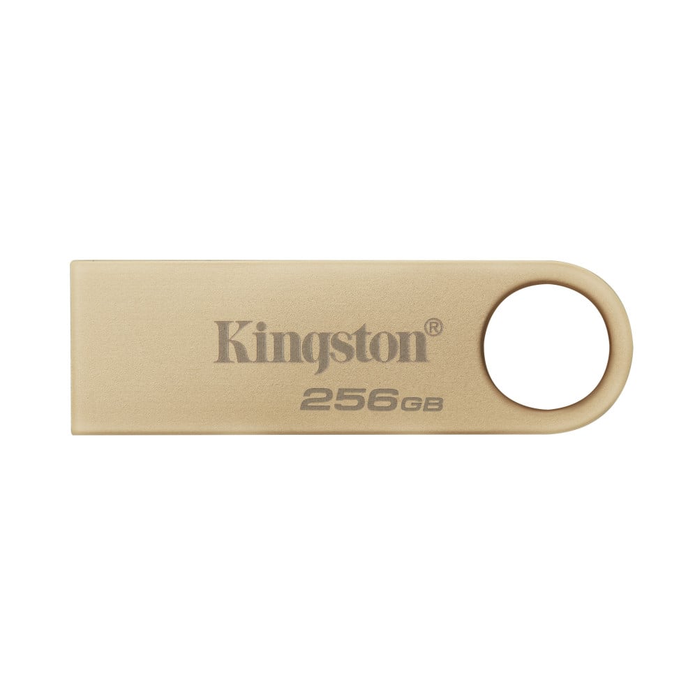 Kingston Technology DataTraveler 256Go 220Mo/s Clé USB 3.2 Gen 1 Métal SE9 G3 (DTSE9G3/256GB)