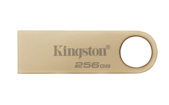 Kingston Technology DataTraveler 256Go 220Mo/s Clé USB 3.2 Gen 1 Métal SE9 G3 (DTSE9G3/256GB)