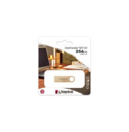 Kingston Technology DataTraveler 256Go 220Mo/s Clé USB 3.2 Gen 1 Métal SE9 G3 (DTSE9G3/256GB)