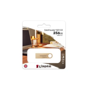 Kingston Technology DataTraveler 256Go 220Mo/s Clé USB 3.2 Gen 1 Métal SE9 G3 (DTSE9G3/256GB)